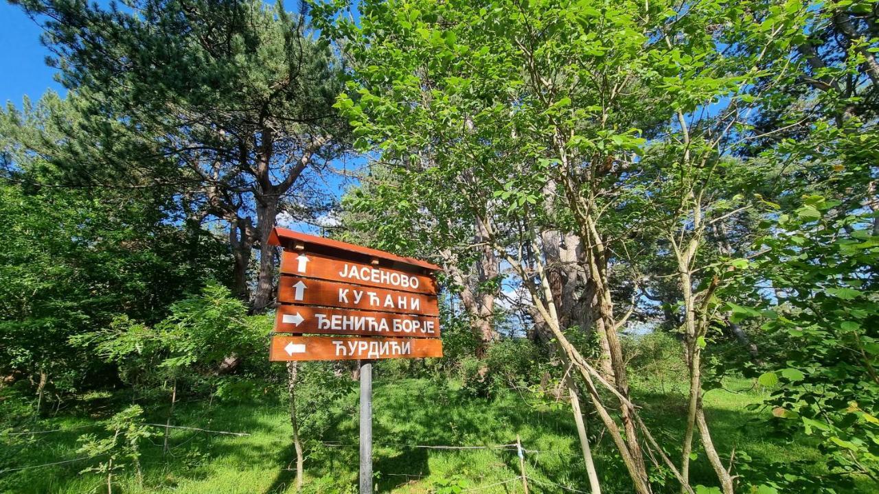 A Pine Vikendica U Srcu Zapadne Srbije Chalet