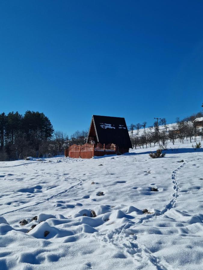 A Pine Vikendica U Srcu Zapadne Srbije Chalet *
