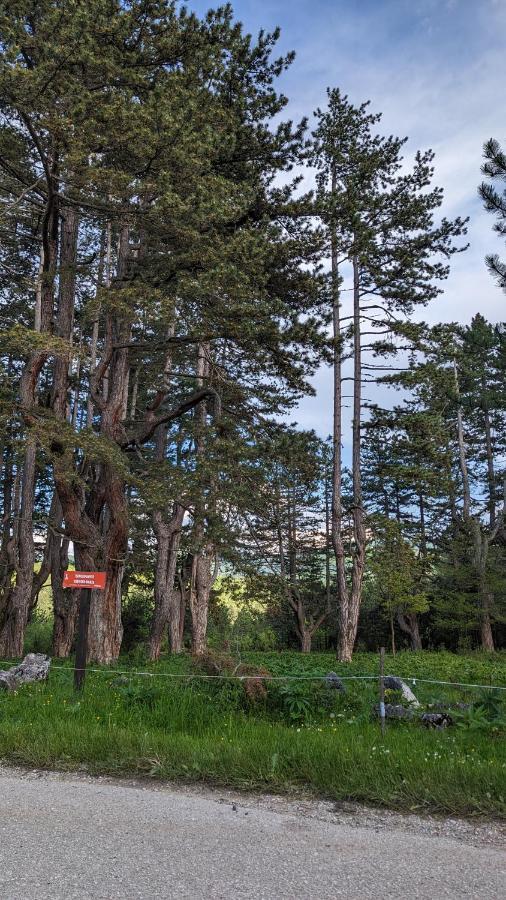 A Pine Vikendica U Srcu Zapadne Srbije *